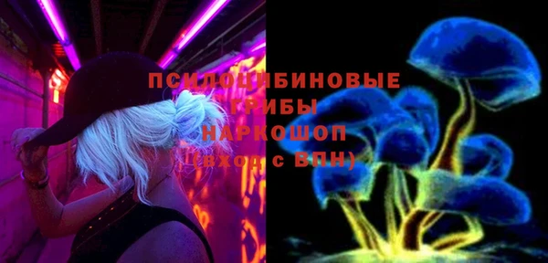 ГАЛЛЮЦИНОГЕННЫЕ ГРИБЫ Бугульма