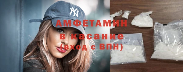 ПСИЛОЦИБИНОВЫЕ ГРИБЫ Бородино