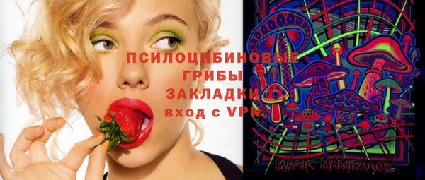 ПСИЛОЦИБИНОВЫЕ ГРИБЫ Бородино
