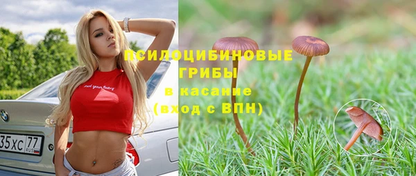 ПСИЛОЦИБИНОВЫЕ ГРИБЫ Верхнеуральск