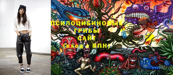 ПСИЛОЦИБИНОВЫЕ ГРИБЫ Бородино